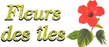 FLEURS DES ÎLES